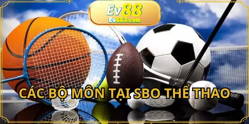 Điểm qua những bộ môn hot nhất tại SBO thể thao