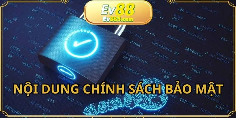 Nội dung đề cập trong chính sách bảo mật hội viên